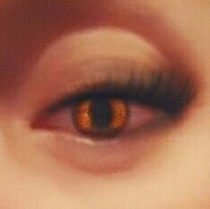 Meet your Posher, Desireé